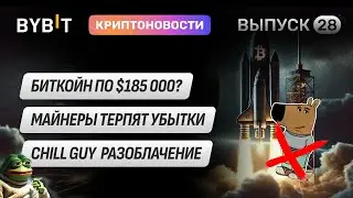 Hamster Kombat L2, Chill Guy разоблачены, Galaxy Research прогнозирует BTC до $185K. Новости Bybit
