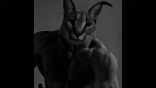 giga chad but phonk