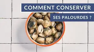 Comment conserver ses palourdes ?