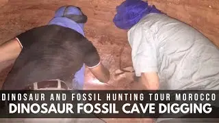 Dinosaur & fossil hunting tour Morocco | Dinosaur fossil cave digging