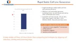 Next-Generation Genome Engineering for Improving the Production of Recombinant Proteins in Cells