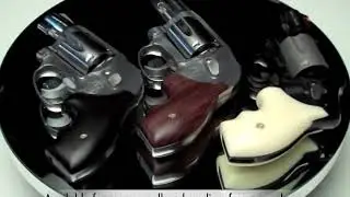 Eagle Grips - Secret Service Revolver Grips.