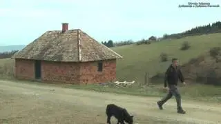 Rade sa Vujicic vode Razgovori pokraj puta-Obicaji Radjevine-Dobrivoje i Dobrila Pantelic