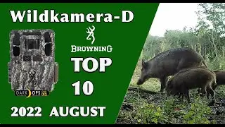 Wildkamera Browning Dark OPS PRO DCL TOP 10 Aufnahmen im August 2022