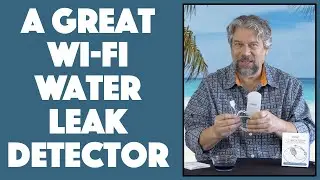 SimpleSence Capteur Wi-Fi Water Leak Detector -- DEMO & REVIEW