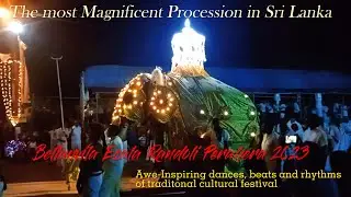 The most magnificent procession in Sri Lanka.