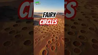 Namibian Fairy Circles SOLVED!