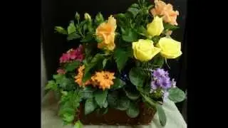Spring Hills Ivy Cottage Florist- 10 Reasons To Support Your Local Florist!