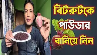 ঘরে তৈরি করুন ১০০% খাঁটি বিটরুট পাউডার। 