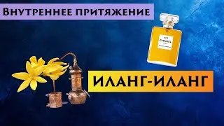 ИЛАНГ-ИЛАНГ (Cananga odorata): от 