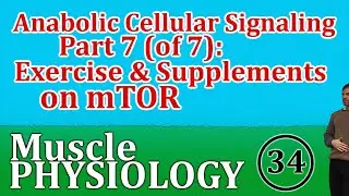 Anabolic Cellular Signaling Lecture 7 (of 7): mTOR-Promoting Supplements and Exercise Behaviors