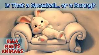 Арктические кролики похожи на снежки! ❄️🐰 Забавные факты о Северном полюсе и песни о животных с Э...