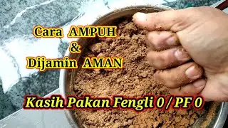 CARA AMPUH DAN AMAN PEMBERIAN PAKAN PF 0 / FENGLI 0 UNTUK LARVA LELE BARU MENETAS BARU LEPAS CACING