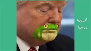 Try Not To Laugh | Donald Trump Funny Viral Vines