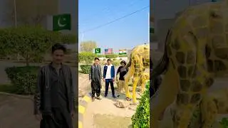 Fastest Power Challenge #shorts #commandochallenge #pakarmyzindabad #funny #comedyvideos #comedy