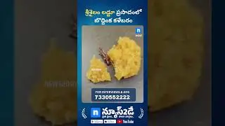 శ్రీశైలం లడ్డూ ప్రసాదంలో బొద్దింక కళేబరం కలకలం | Negligence in Temple Kitchen? | News2Day