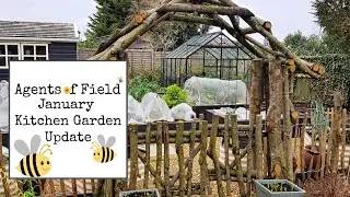 January Kitchen Garden Update