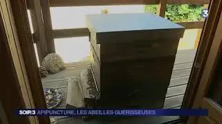 Apipuncture, Les Abeilles Guerisseuses