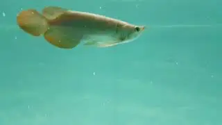 20171223 203056