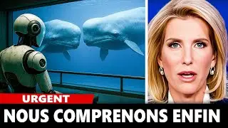 Des scientifiques ont d&eacute;cod&eacute; le langage des baleines avec l'IA... Ce n'est pas ce que vous pensez.