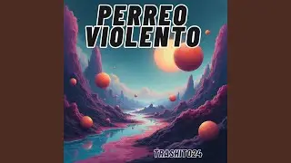perreo violento