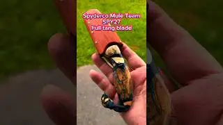 ⁠@SpydercoKnivesOfficial Mule Team, SPY27 full tang blade, custom Mammoth scales, handmade sheath