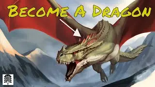 How to Play A Dragon in D&D 5e (2021)
