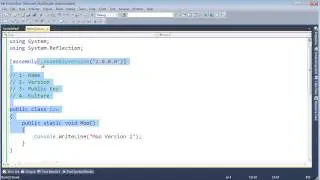 .NET Assembly Version