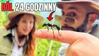 Bullet Ant Challenge ! Spotkanie z najbardziej jadowitą mr&oacute;wką świata 🐜😱