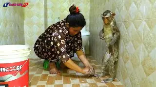 Smart Mr. Kako Taking Bath Routine