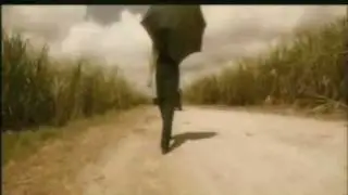 Neil young living with war