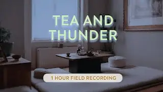 Calming Rain and Wind Sounds | Vienna Tea Session Ambience for Study & Sleep