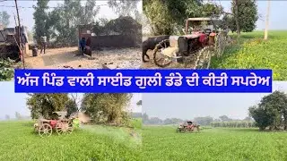 ਅੱਜ ਪਿੰਡ ਵਾਲੀ ਸਾਈਡ ਗੁਲੀ ਡੰਡੇ ਦੀ ਕੀਤੀ ਸਪਰੇਅ 