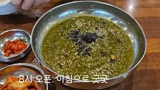 25년12월말제주도2박3일둘쨋날(무지개도로,송악산둘레길,알뜨르비행장,용머리해안,연돈,위미동백군락지)