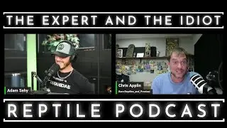 91 - Chris Applin of Rare Reptiles -  The Expert and The Idiot - A Reptile Podcast