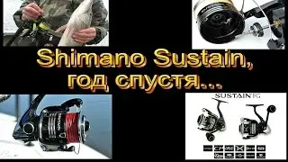 Shimano Sustain 4000 FG -  год спустя.