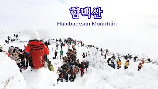 함백산 / 만항재 / 차박 / Hambaeksan Mountain