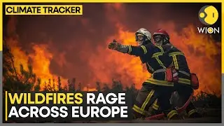 Albania Battles Eight Active Fires, More Than 1,100 Hectares Burnt In Greece | WION