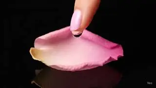 #asmr #relaxingsounds  #soundhealer #asmrsounds  #videoshort  #relaxingmusic #asmrsounds #viralvideo