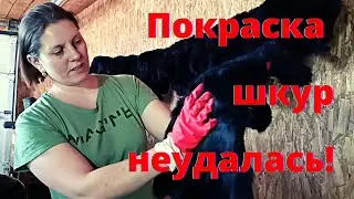 После покраски шкуры можно выкинуть. Как вычесываю шкуры, про жировку.