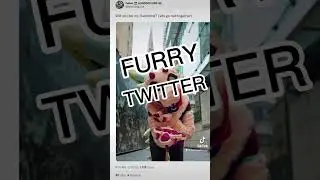 BE MY VALENTINE || FURRY TWITTER