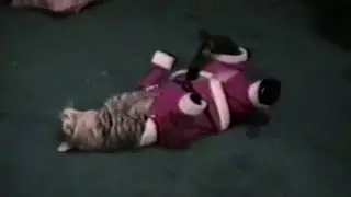 Festive Pets
