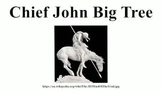 Chief John Big Tree