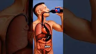 What Happens When You Drink Pepsi Inside Your Body