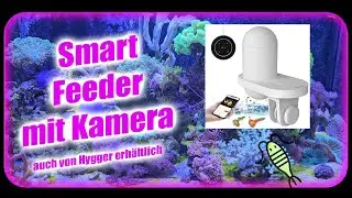 Smart Feeder mit Kamera - gibts jetzt auch von Hygger | Meerwasser Vlog