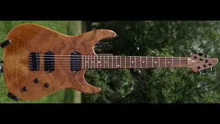 Boldogh S 1 Custom made guitar with Aryst The 3 channel amp