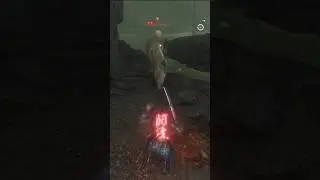 Easy Snake Eyes Shirahagi. NoHit. NoDamage. Ng 1.