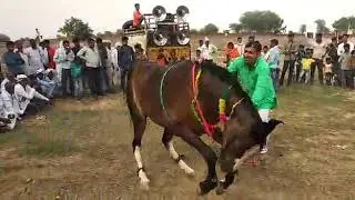 Gurjar ghodi dance uchain.      |Awesome performance......| Mob. No.7300085148|
