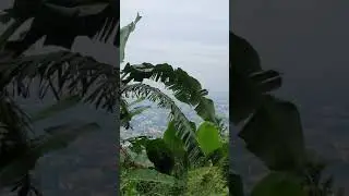 ANTENNA HILL RIZAL BIRDS EYE VIEW | Vin Biker X_OFW Diaries