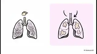 Farmacologia aparato respiratorio